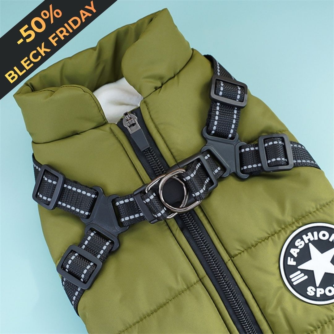 Wintermantel für strake Pfoten