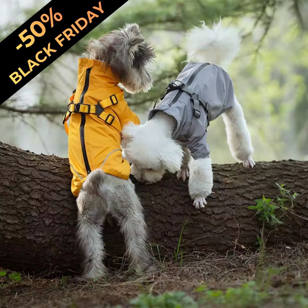 Pfoten-starke Regenjacke